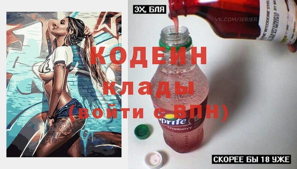 2c-b Краснослободск